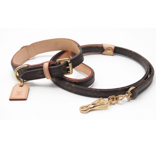 louis vuitton collier chien luxe