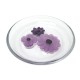 CENTRE DE TABLE DAUM COPPELIA CRISTAL FLEURS EN PATE DE VERRE VIOLET CENTERPIECE