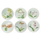 LOT 6 ASSIETTES A DESSERT HERMES JARDIN DES ORCHIDEES 21CM NUM 8 9 10 11 12 13