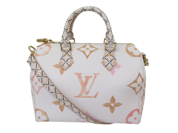  sac a main louis vuitton speedy 25 au bord de la