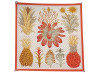 foulard hermes index bromeliaceae k scott