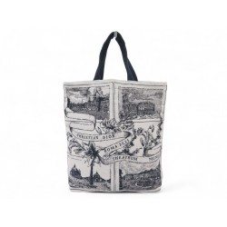 NEUF SAC A MAIN CHRISTIAN DIOR TOTE BAG THEATRUM MUNDI ROMA CRUISE 2026 CABAS