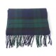 NEUF ECHARPE DIOR MOTIF TARTAN LAINE D'ECOSSE VERT BLEU GREEN WHOOL SCARF 590€