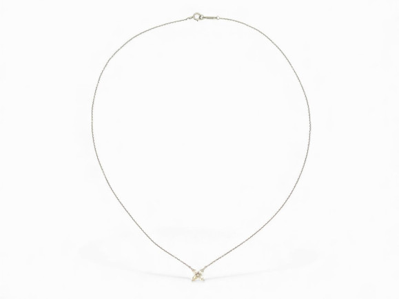 collier tiffany co victoria fleur diamants
