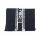 NEUF ECHARPE CHRISTIAN DIOR REVERSIBLE TOILE OBLIQUE UNIVERSITY LAINE SCARF 750€