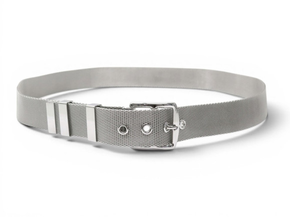 rare ceinture hermes etriviere metal argente maille