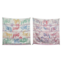  foulard hermes della cavalleria favolosa double