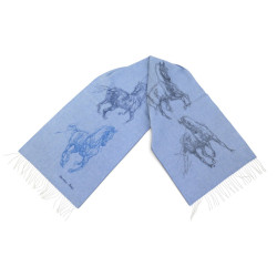  echarpe hermes pirouette au galop h392850tv01
