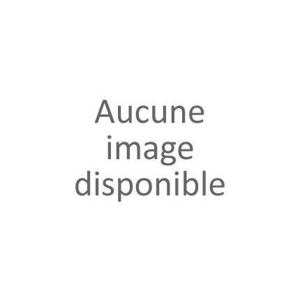 NEUF SAC A MAIN CELINE NINO TEEN TOILE TRIOMPHE 118112FRH BANDOULIERE BAG 2300€
